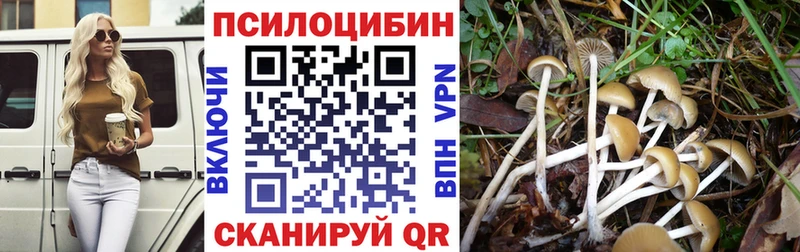 Галлюциногенные грибы Psilocybe  где купить   Мостовской 